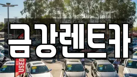대구 수성구 중동 렌트카 전문 금강렌트카