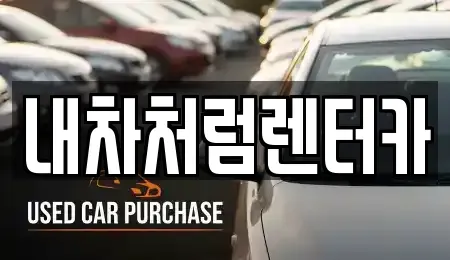 대구 수성구 중동 렌트카 전문 내차처럼렌터카