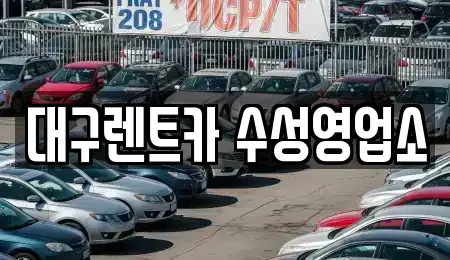 대구 수성구 중동 렌트카 전문 대구렌트카 수성영업소
