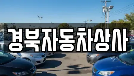 대구 수성구 중동 중고차매매 전문 경북자동차상사