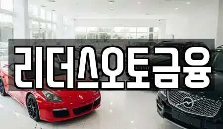 대구 중구 공평동 장기렌트카 전문 리더스오토금융