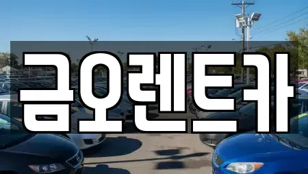 대구 중구 완전동 렌트카 전문 금오렌트카