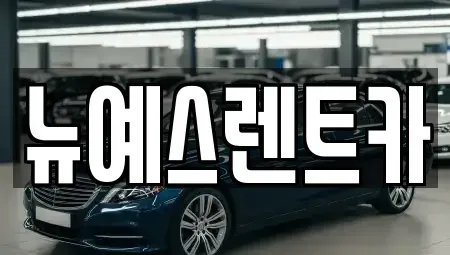 대구 중구 완전동 렌트카 전문 뉴예스렌트카