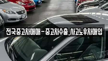 대구 중구 완전동 중고차 전문 전국중고차매매-중고차수출,사고노후차매입