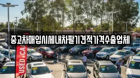 대구 중구 완전동 중고차매입 전문 중고차매입시세내차팔기견적가격수출업체