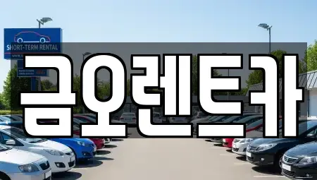 대구광역시 동구 단기렌트카 전문 금오렌트카