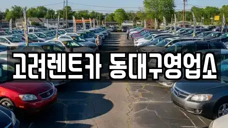 대구광역시 동구 렌트카 전문 고려렌트카 동대구영업소