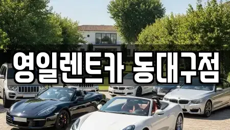 대구광역시 동구 렌트카,단기렌트카,장기렌트카,중고차,중고차매매,중고차매입