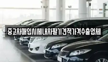 대구광역시 동구 미대동 중고차 전문 중고차매입시세내차팔기견적가격수출업체