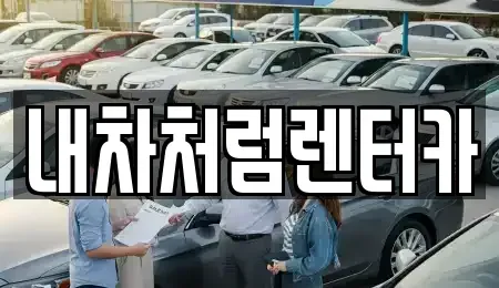 대구광역시 동구 서호동 렌트카 전문 내차처럼렌터카