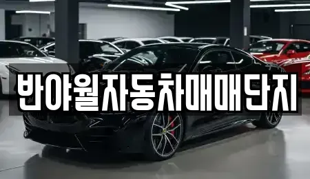 대구광역시 동구 서호동 중고차 전문 반야월자동차매매단지