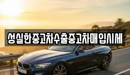 대구광역시 동구 서호동 중고차매입 전문 성실한중고차수출중고차매입시세