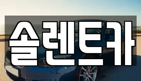 대구광역시 동구 장기렌트카 전문 솔렌트카