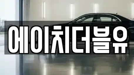 대구광역시 동구 장기렌트카 전문 에이치더블유
