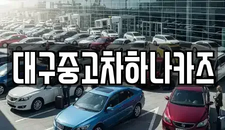 대구광역시 동구 중고차 전문 대구중고차하나카즈