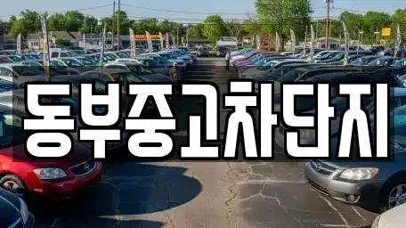 대구광역시 동구 중고차 전문 동부중고차단지