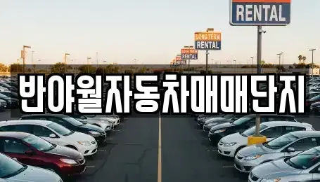 대구광역시 동구 중고차 전문 반야월자동차매매단지