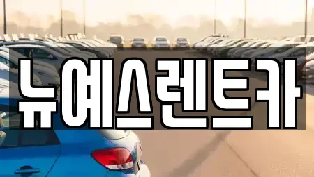 대구광역시 수성구 노변동 렌트카 전문 뉴예스렌트카