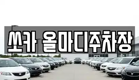 대구광역시 수성구 노변동 렌트카 전문 쏘카 올마디주차장