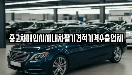 대구광역시 수성구 노변동 중고차 전문 중고차매입시세내차팔기견적가격수출업체