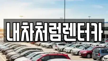 대구광역시 수성구 만촌동 렌트카 전문 내차처럼렌터카