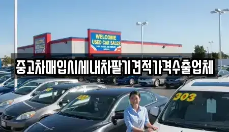 대구광역시 수성구 삼덕동 중고차 전문 중고차매입시세내차팔기견적가격수출업체