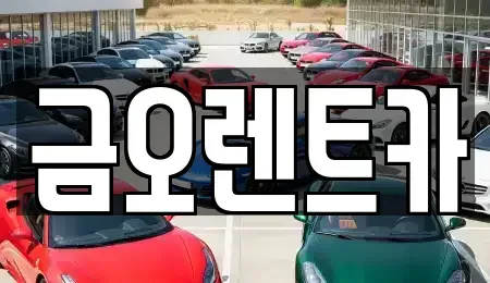 대구광역시 중구 상덕동 렌트카 전문 금오렌트카