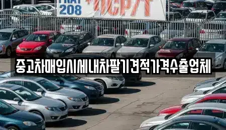 대구광역시 중구 상덕동 중고차매입 전문 중고차매입시세내차팔기견적가격수출업체