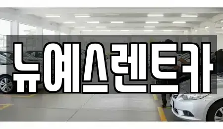 대구광역시 중구 상서동 렌트카 전문 뉴예스렌트카