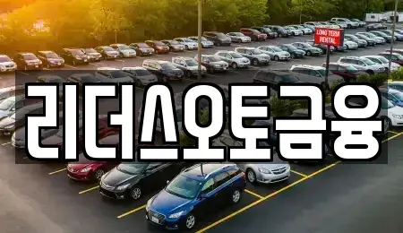 대구광역시 중구 상서동 장기렌트카 전문 리더스오토금융