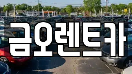 대구광역시 중구 서야동 단기렌트카 전문 금오렌트카