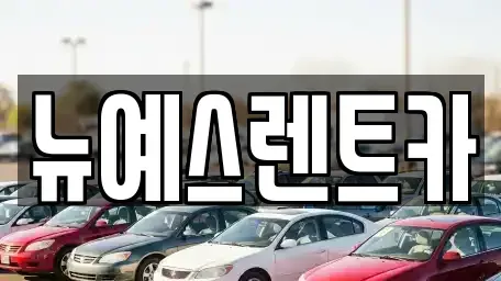 대구광역시 중구 서야동 렌트카 전문 뉴예스렌트카