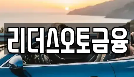 대구광역시 중구 서야동 장기렌트카 전문 리더스오토금융