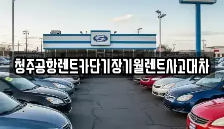 대전 대덕구 용호동 단기렌트카 전문 청주공항렌트카단기장기월렌트사고대차