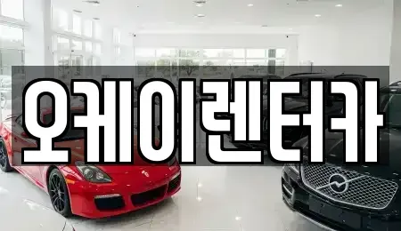 대전 대덕구 용호동 렌트카 전문 오케이렌터카