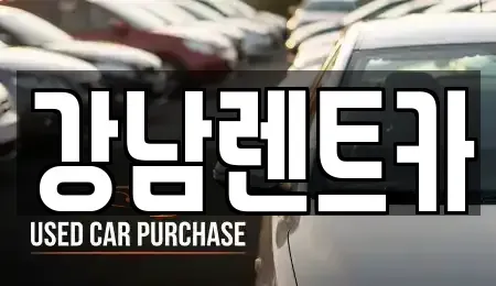 대전 대덕구 평촌동 렌트카 전문 강남렌트카
