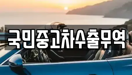 대전 대덕구 평촌동 중고차매매 전문 국민중고차수출무역