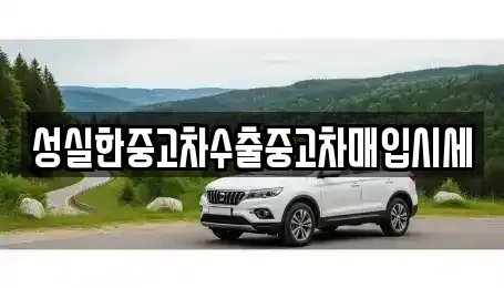 대전 동구 원동 중고차매입 전문 성실한중고차수출중고차매입시세