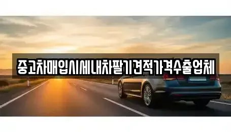 대전 동구 원동 중고차매입 전문 중고차매입시세내차팔기견적가격수출업체