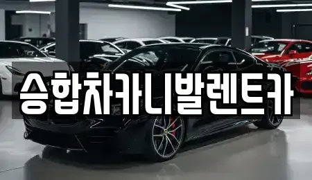 대전 동구 천동 렌트카 전문 승합차카니발렌트카