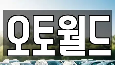 대전 동구 천동 중고차 전문 오토월드