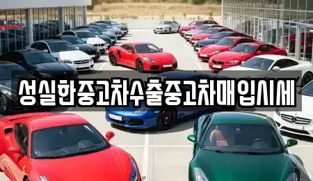 대전 동구 천동 중고차매입 전문 성실한중고차수출중고차매입시세