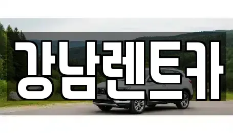 대전 서구 오동 렌트카 전문 강남렌트카