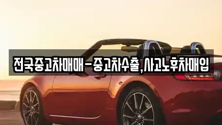 대전 서구 오동 중고차 전문 전국중고차매매-중고차수출,사고노후차매입