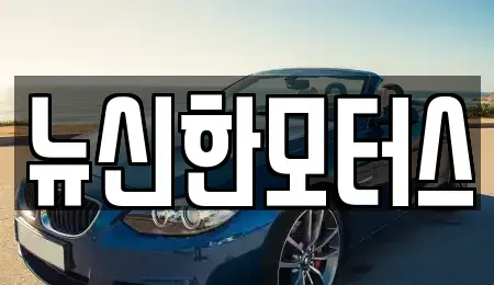 대전 유성구 대동 중고차 전문 뉴신한모터스