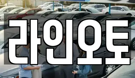 대전 유성구 방동 렌트카 전문 라인오토