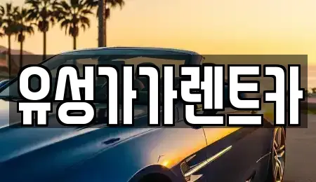 대전 유성구 안산동 렌트카 전문 유성가가렌트카