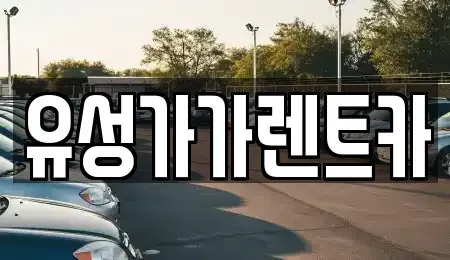 대전 유성구 죽동 렌트카 전문 유성가가렌트카