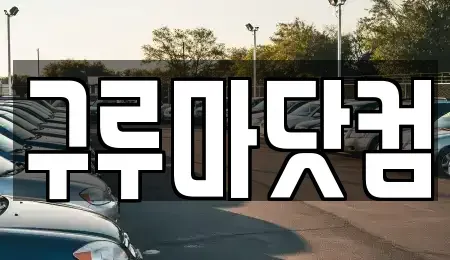 대전 유성구 죽동 장기렌트카 전문 구루마닷컴