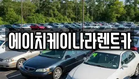 대전 유성구 화암동 렌트카 전문 에이치케이나라렌트카